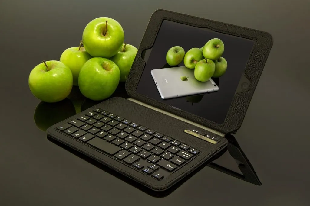 Nigerian SMEs - Technology