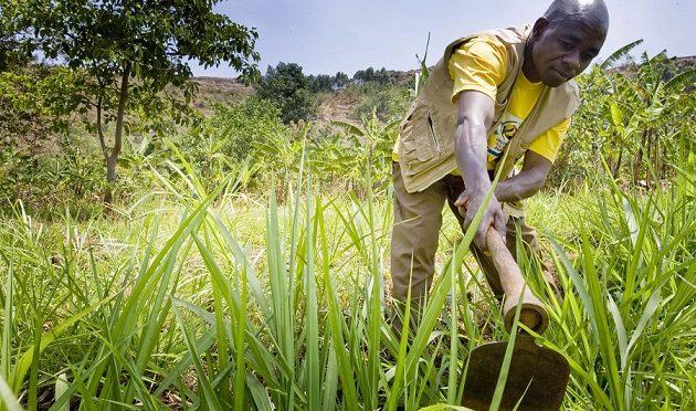  AgroCenta, Ghanaian AgriTech Startup Wins $500,000 at Seedstars Global Competition