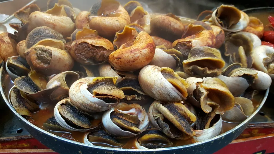 Nice snail meal from snail farming