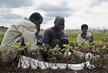  Agrostrides 30 Nomination Opens for Young African Agric Entrepreneurs