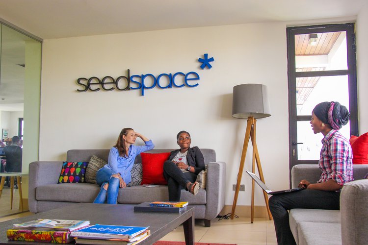 seedspace-workspace