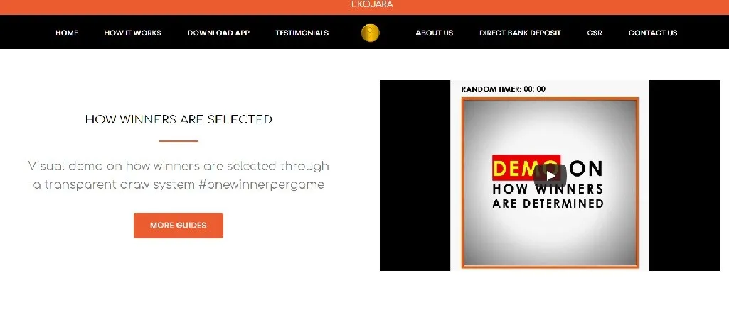 Ekpjara website screenshot - Ekojara