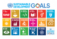  Apply for Youth for Africa and SDGs Ecosytem Challenge 2018 ($10,000 in Grant)