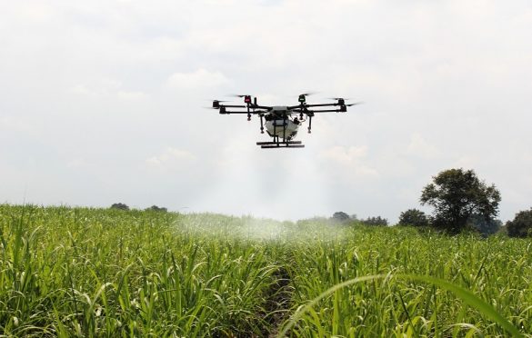  Tunisia Trains First Set of Drone Pilots for Agricultural Productivity