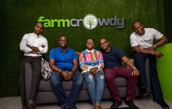  Farmcrowdy Closes  $1 Million in Seed Funding, Launches New Programmes