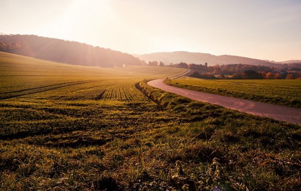  Startups can now apply to win $10,000 grant in the DOEN Land Restoration Prize