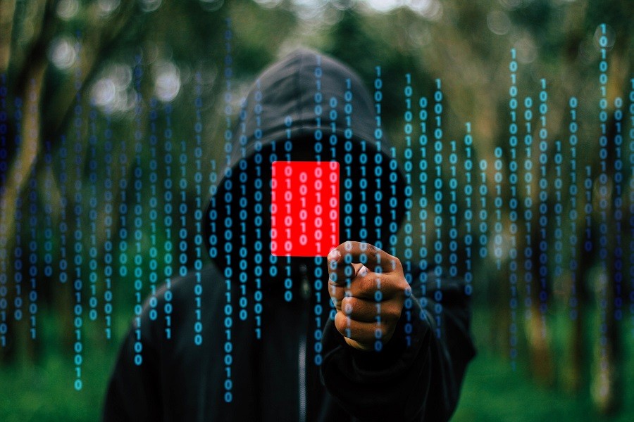 Avoiding online fraud - hacker image