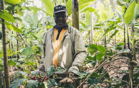  Win $100,000 at the Africa Food Prize 2020