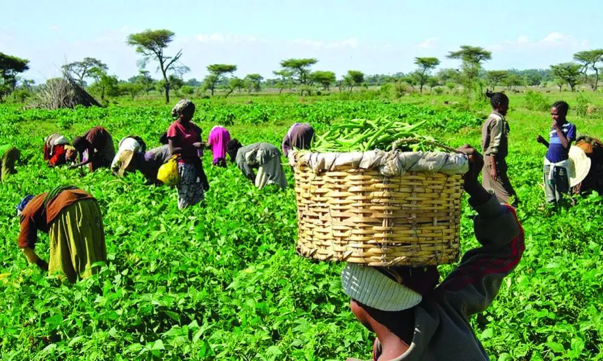 FG interest-free loans farmers