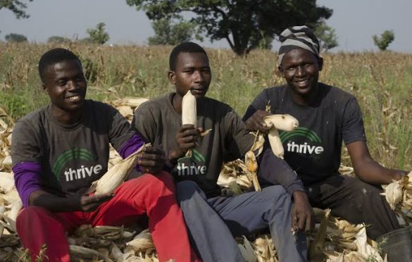  Tech Crawl: Thrive Agric defaults on payment, Easy Solar raises $5m, MTN and Airtel Uganda suspends mobile money, more