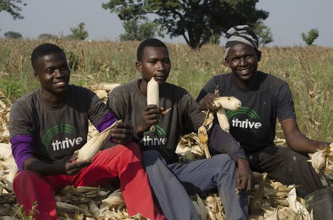 Thrive Agric defaults on payments