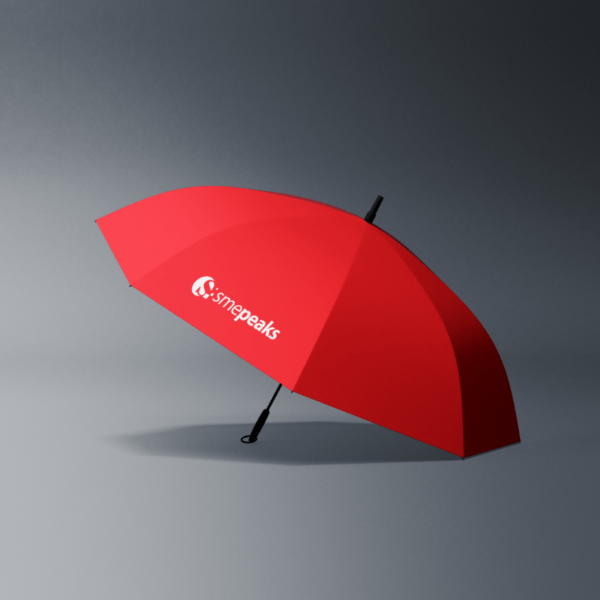 Umbrella (2)