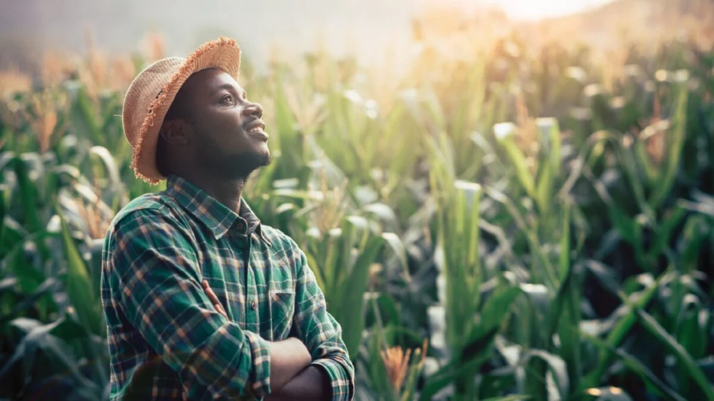 Africa Food Prize