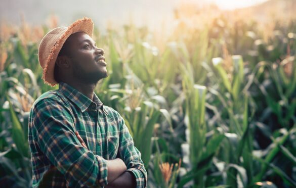  Have you contributed to the growth of agriculture in Africa? Africa Food Prize has an award for you