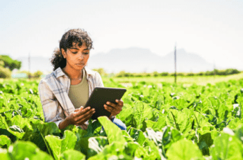 Agritech and Edtech, which is more impacted by Artificial Intelligence?
