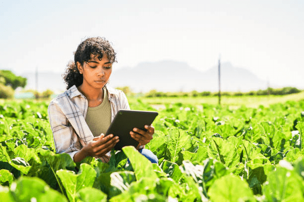  Agritech and Edtech, which is more impacted by Artificial Intelligence?