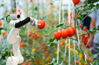 Sustainable Food Solutions Challenge