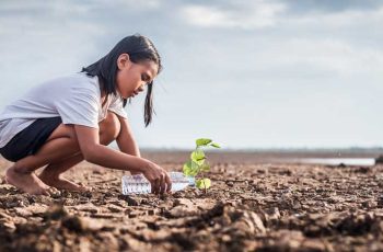Climate Democracy Accelerator