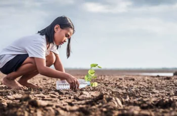 Climate Democracy Accelerator