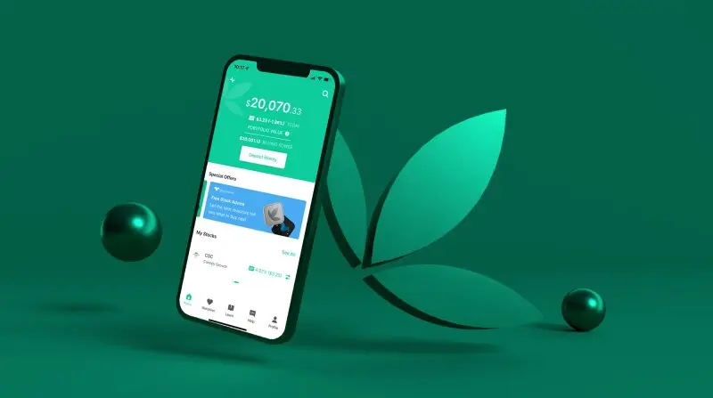 Bamboo