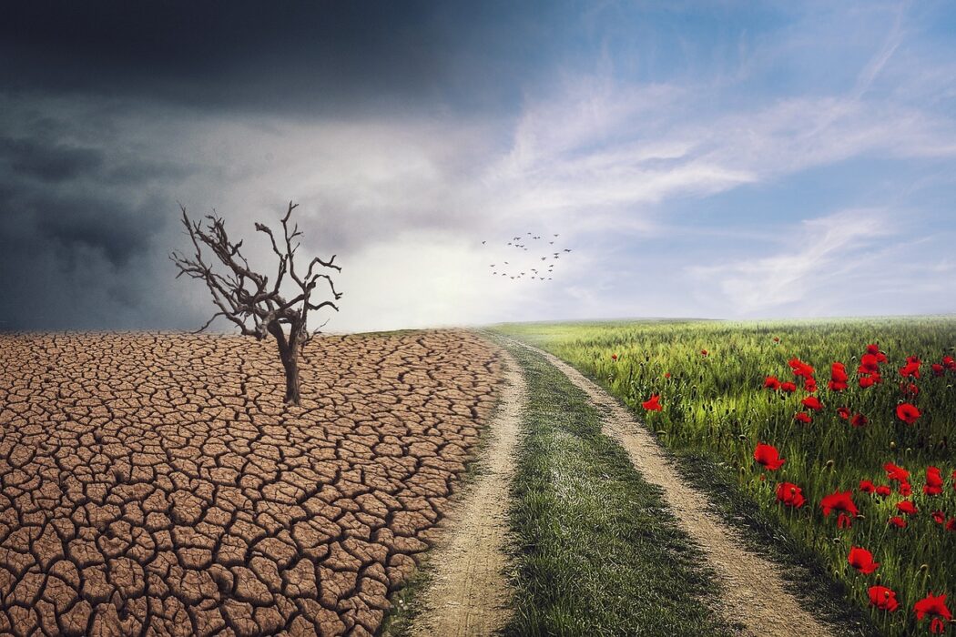 Image showing climate action for Compute for Climate Fellowship 2025