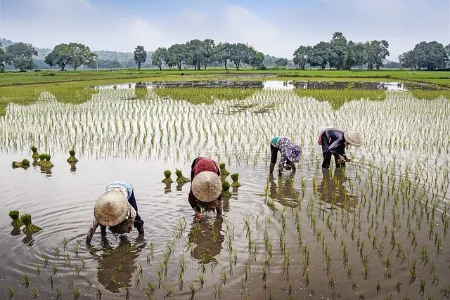  Got a farming startup? Pitch for $50,000 in the GoGettaz Agripreneur Prize 2025
