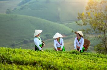 2025 Women Agripreneurs of the Year Awards