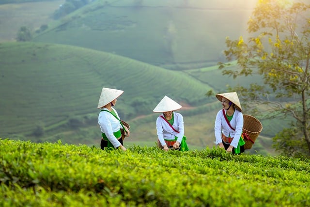 2025 Women Agripreneurs of the Year Awards