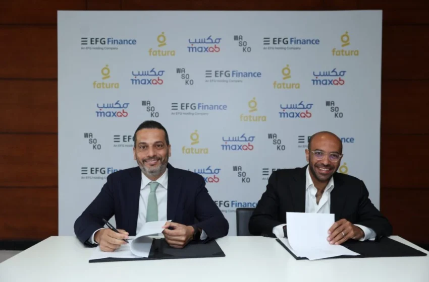  MaxAB-Wasoko acquires Fatura to expand presence in Egypt’s B2B e-commerce market