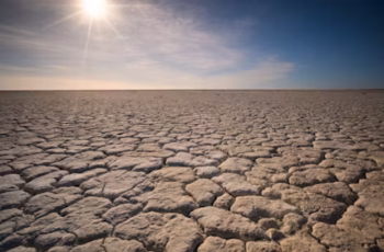 AI for Climate Resilience 2025